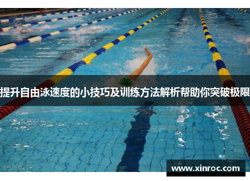 提升自由泳速度的小技巧及训练方法解析帮助你突破极限